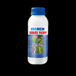 GRASSPAINT GAZON VERT - 1KG