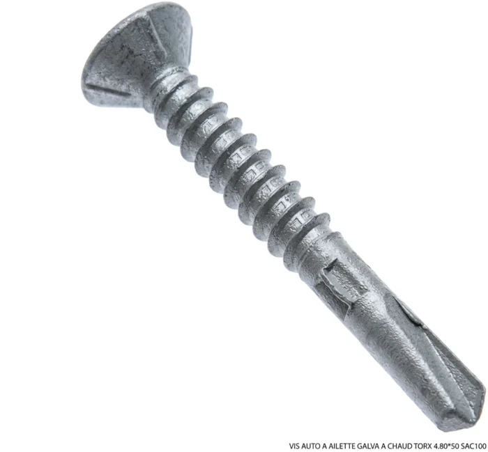 VIS AUTO A AILETTE GALVA A CHAUD TORX 4.80*50 SAC100