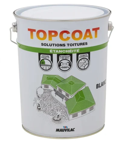 TOPCOAT ETANCHEITE BLANC 1KG