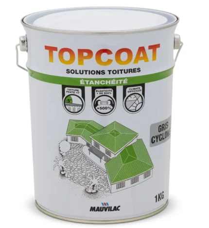 TOPCOAT ETANCHEITE GRIS CYCLONE 1KG