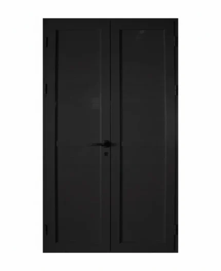 EA - PORTE ALU PLEIN NOIR 2 BATTANTS 1190*2170